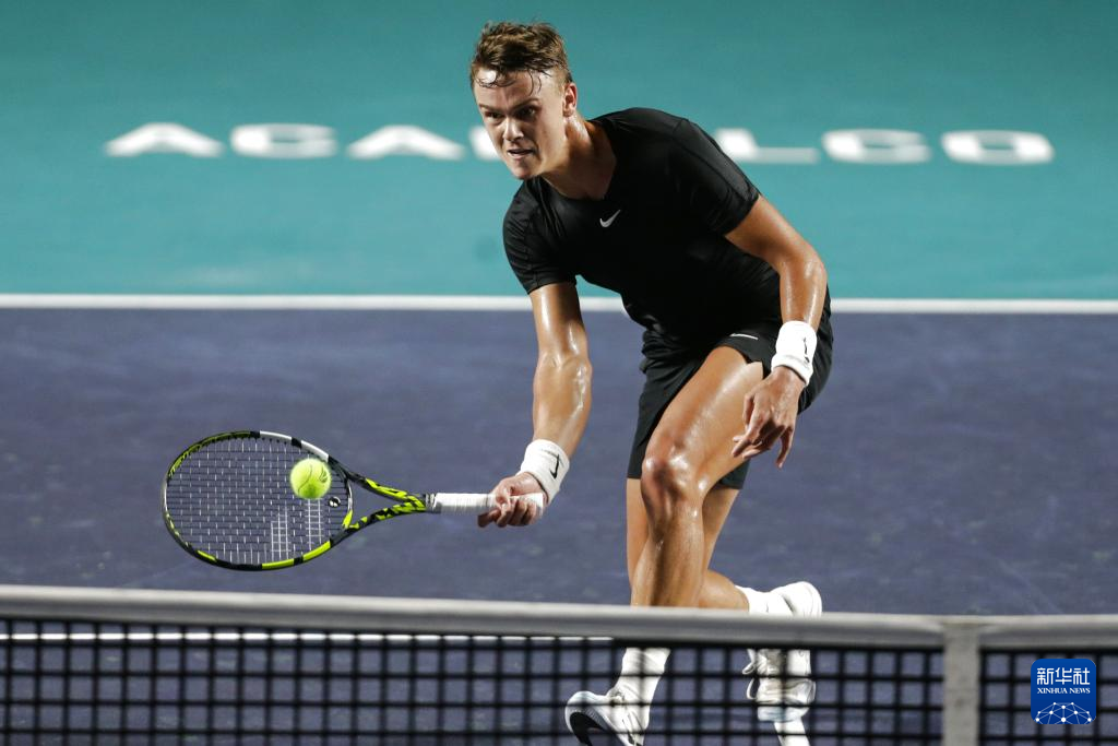 我回归的最 我回归的最